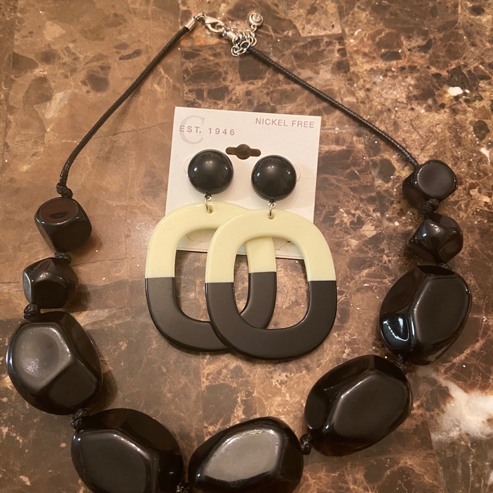 Brand new necklace/earring set